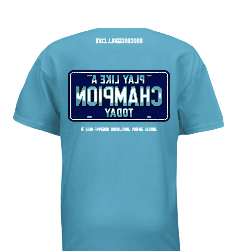 AQUATIC BLUE - 29B - BACK